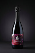 Lambrusco dell'Emilia rosso spumante extra dry