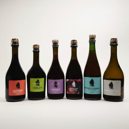 Cartone degustazione sei bottiglie
